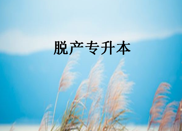 Óa(chn)ʲô˼ЩWÓa(chn)ԇyy