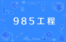 985W(xu)211W(xu)ʲô˼Ă(g)985 211W(xu)
