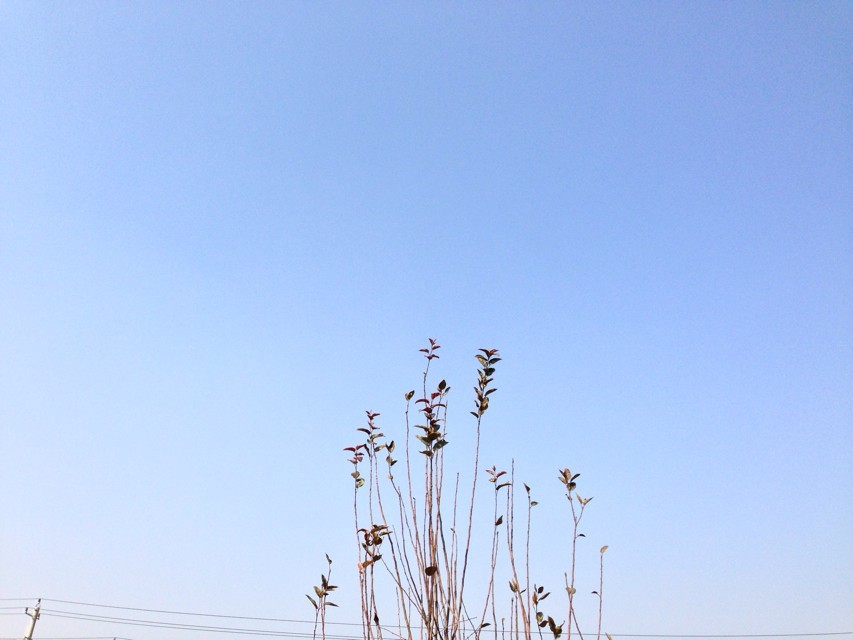 ͯW(xu)ӢZĂܛǰʮa(chn)ppmϳW(xu)ߵܛ]