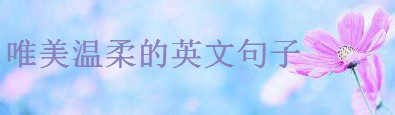 20ΨСµӢĶ̾伯\СsܜӢľ