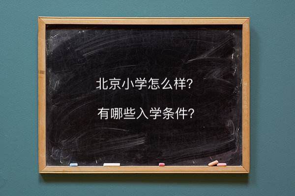 北京小學(xué)怎么樣入學(xué)條件有哪些?在北京市排名第幾學(xué)費(fèi)一年多少錢
