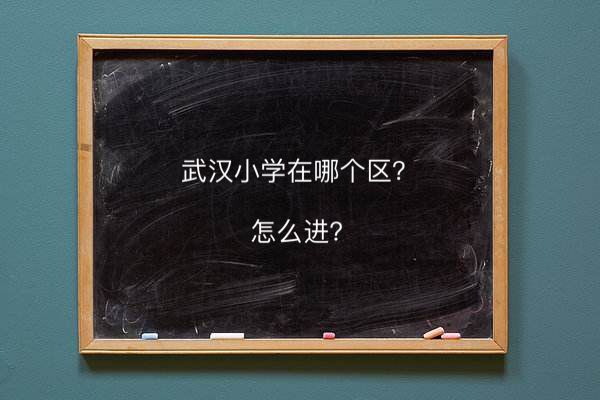 hСW(xu)Ă^(q)ôM(jn)hڎ2020hСW(xu)С^(q)