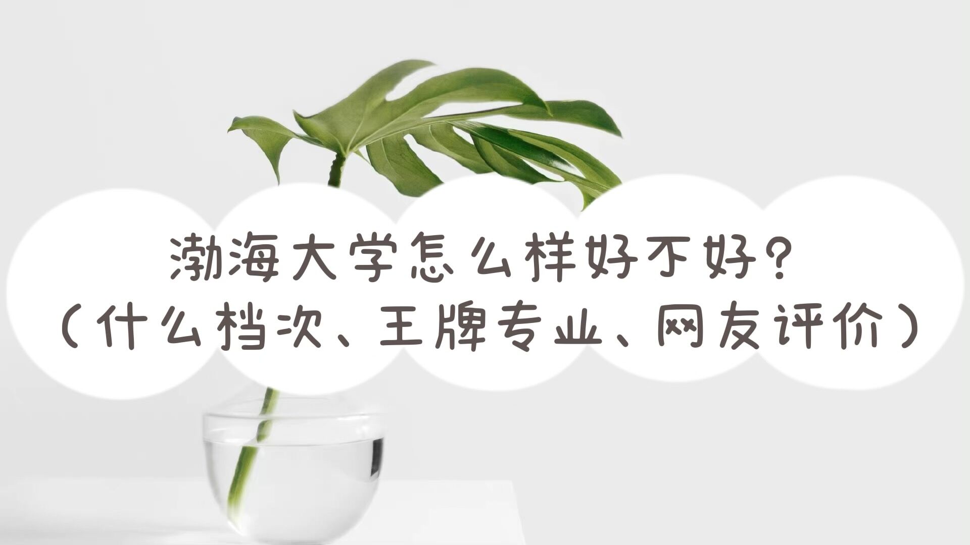 W(xu)ôӺòãʲônΡƌ(zhun)I(y)W(wng)u(png)r(ji)