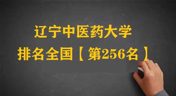 |t(y)ˎW(xu)ȫ(gu)ڎ2025(µ245)