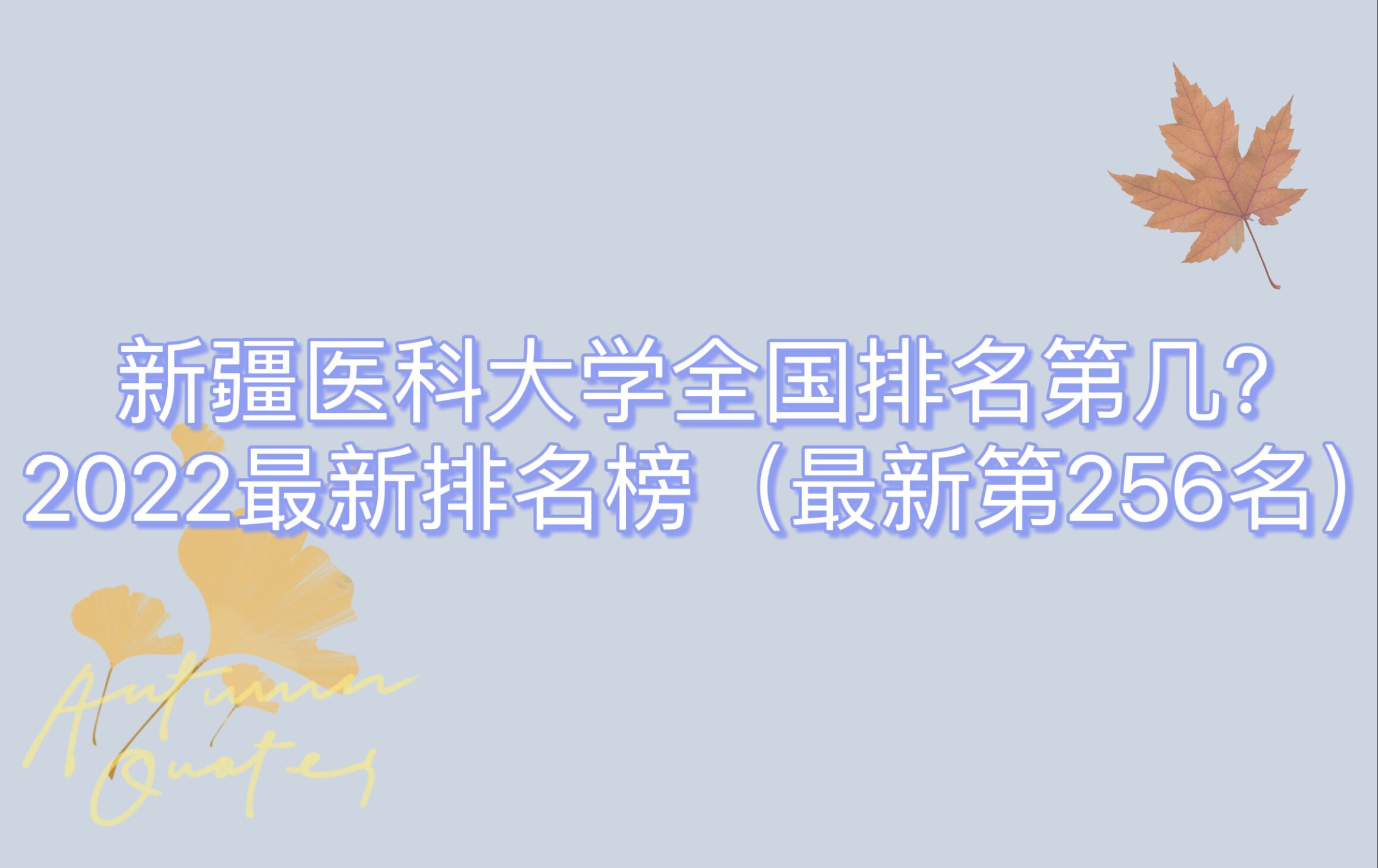 ½t(y)ƴW(xu)ȫڎ2023µ256